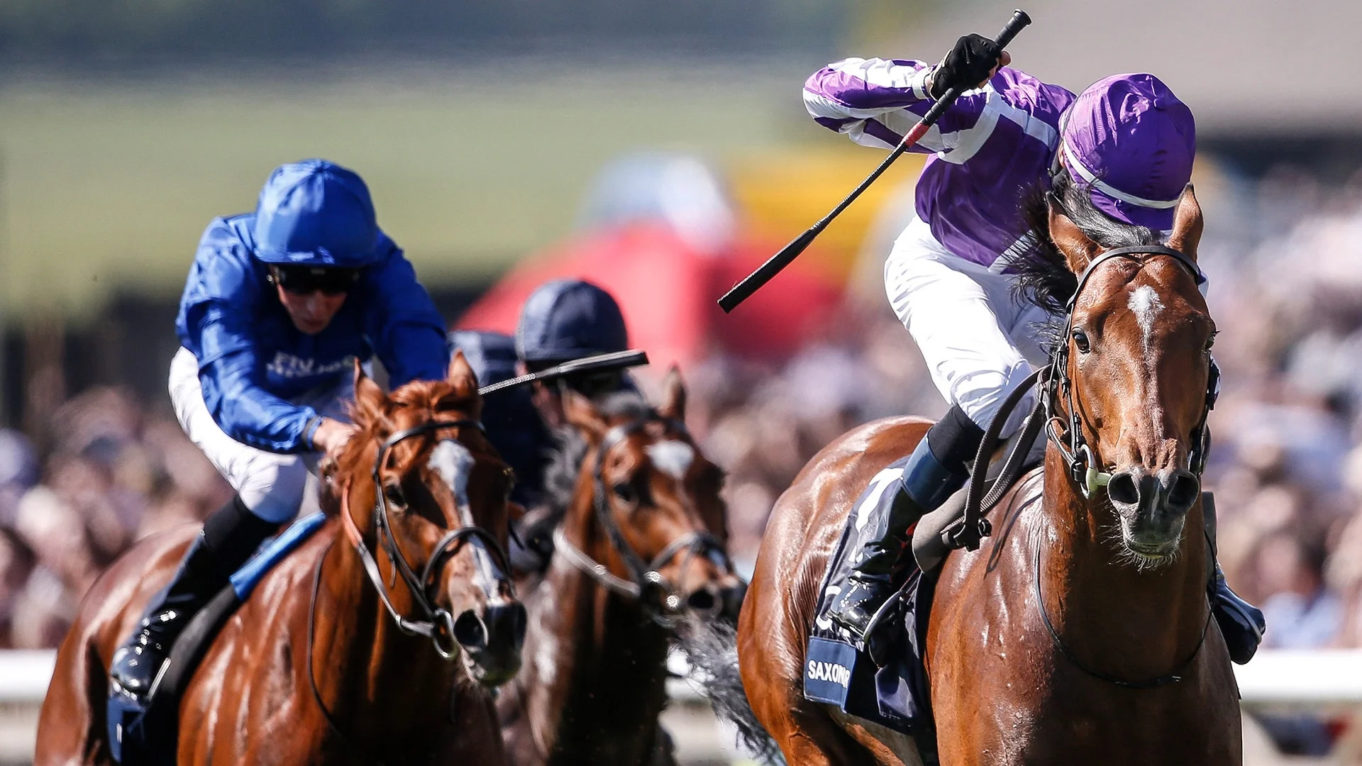 How to Get a Horse in the Epsom Derby