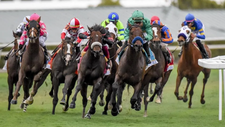 pegasus world cup